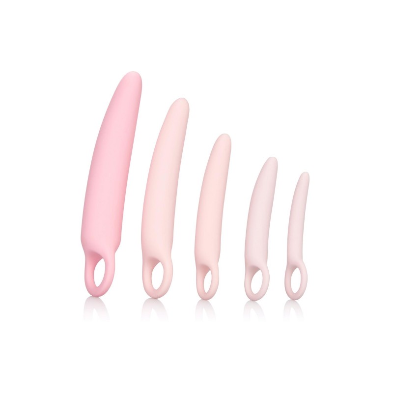 Dildo-INSPIRE SILICONE DILATOR 5 PCS SET